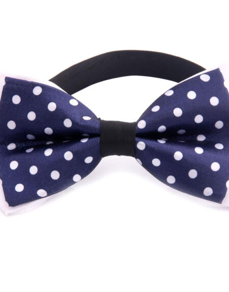 Men's Silk Pre-Tied Bow Tie - Amedeo Exclusive