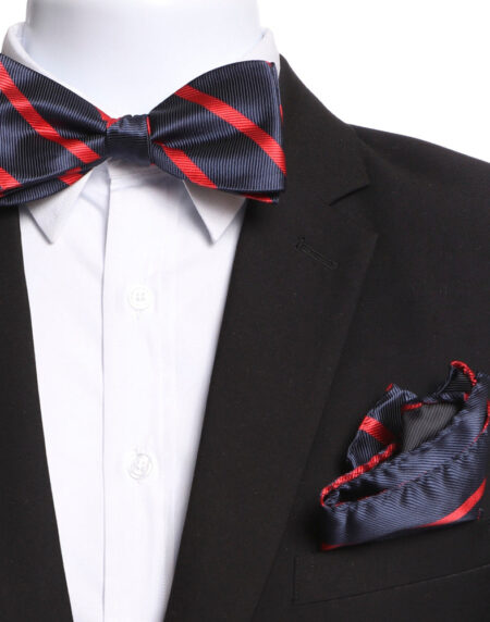Men's Red & Navy Blue Self Bow Tie with Handkerchief - Amedeo Exclusive