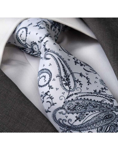 Men's jacquard Blue White Paisley Premium Neck Tie With Gift Box - Amedeo Exclusive