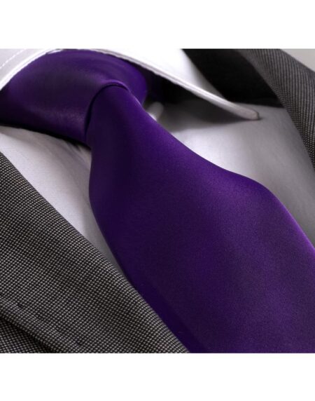 Amedeo Exclusive Men's Fashion Blue With Paisley Silk Neck Tie Gift Box - Amedeo Exclusive